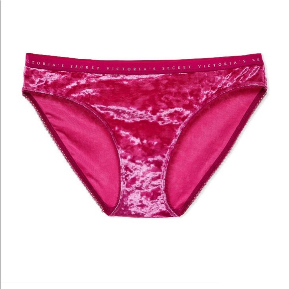 VICTORIA'S SECRET Velvet Logo Waist Bikini Panty - Picture 3 of 8